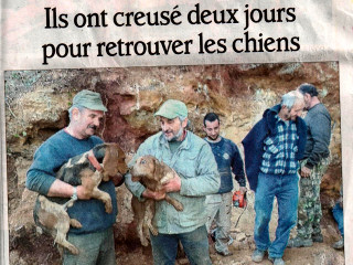 Le Dauphiné : recherche chiens à Payzac